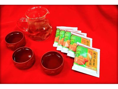 牛樟芝養生茶