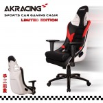 AKRACING名流收藏款-GT911 PORSCHE白款