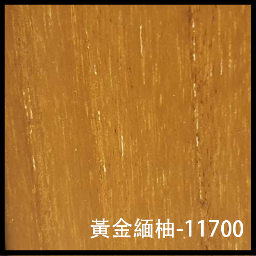 黃金緬柚-11700-1