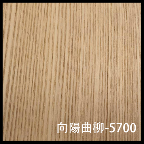 向陽曲柳-5700-1
