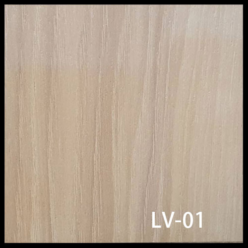 LV-01-1