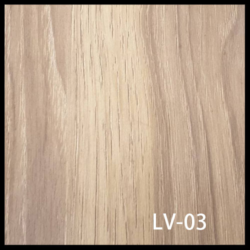 LV-03-1