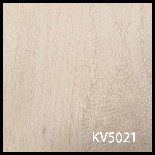 KV5021-1