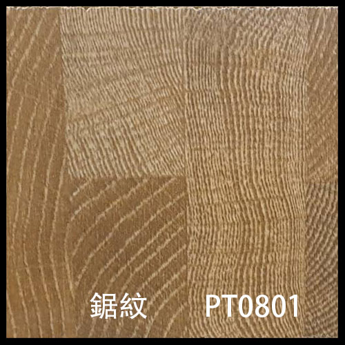 PT0801-1