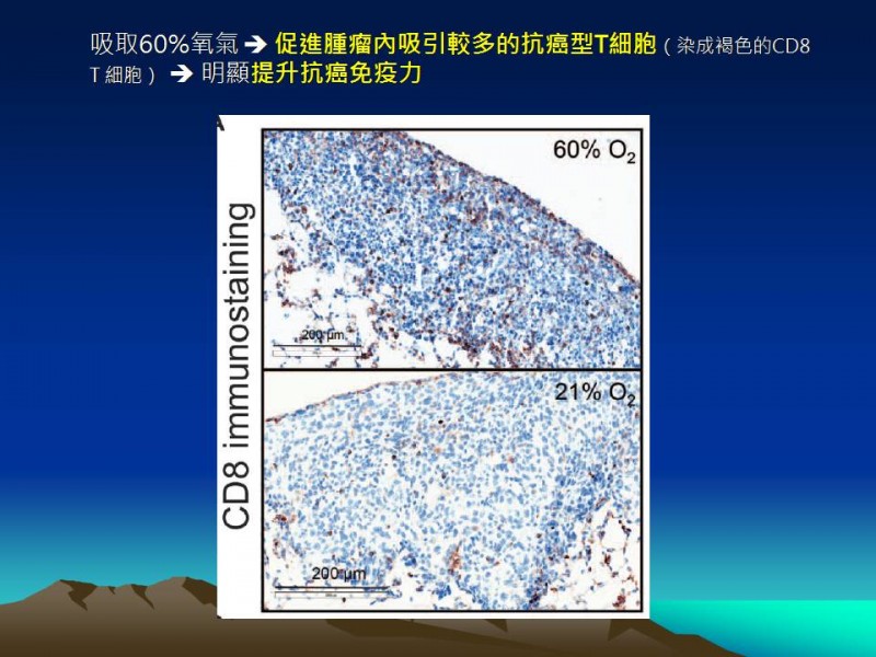 投影片10